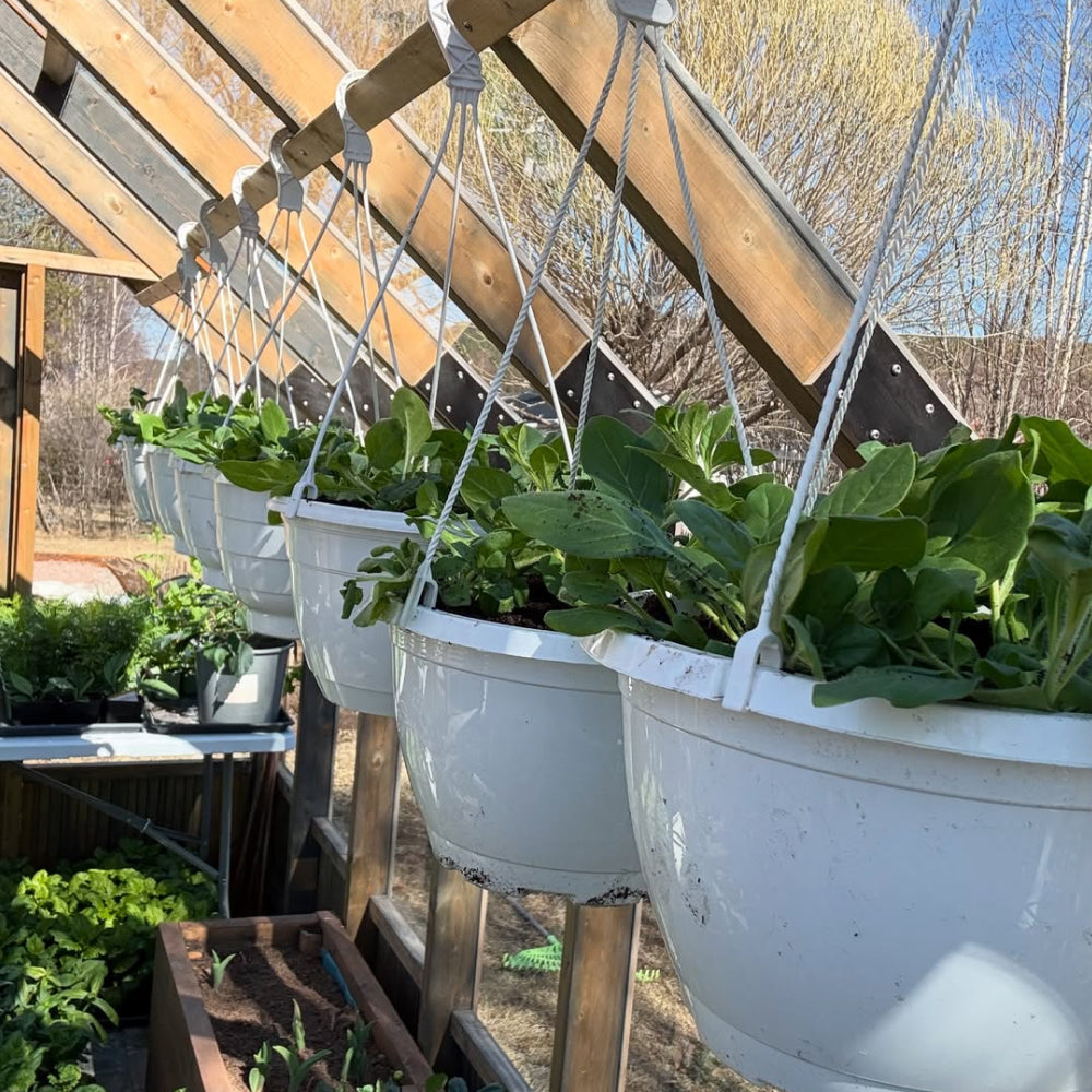 Nordwood Greenhouse