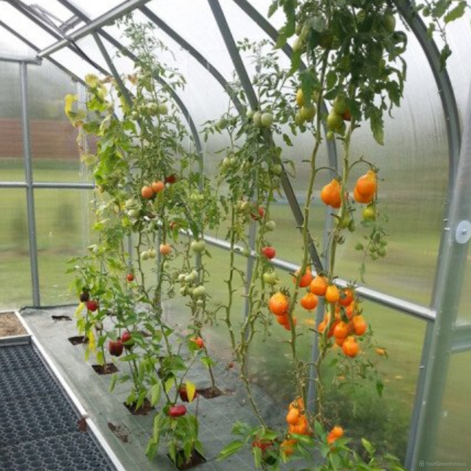 Plant Support Kit