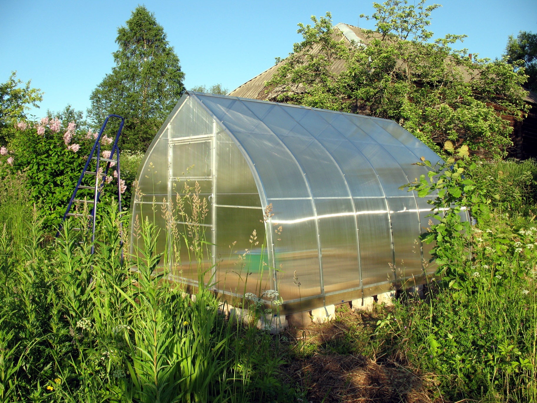 Classic Arch Greenhouse