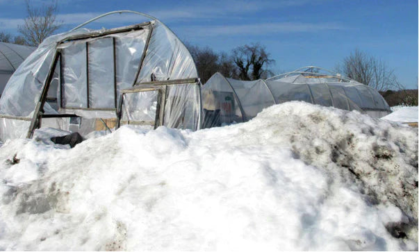 Prepare for the 2025 gardening season with a greenhouse that will last decades