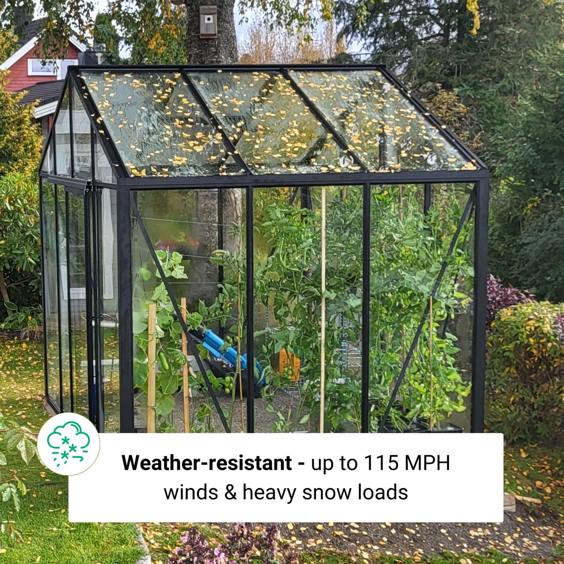 Scandiglas Greenhouse