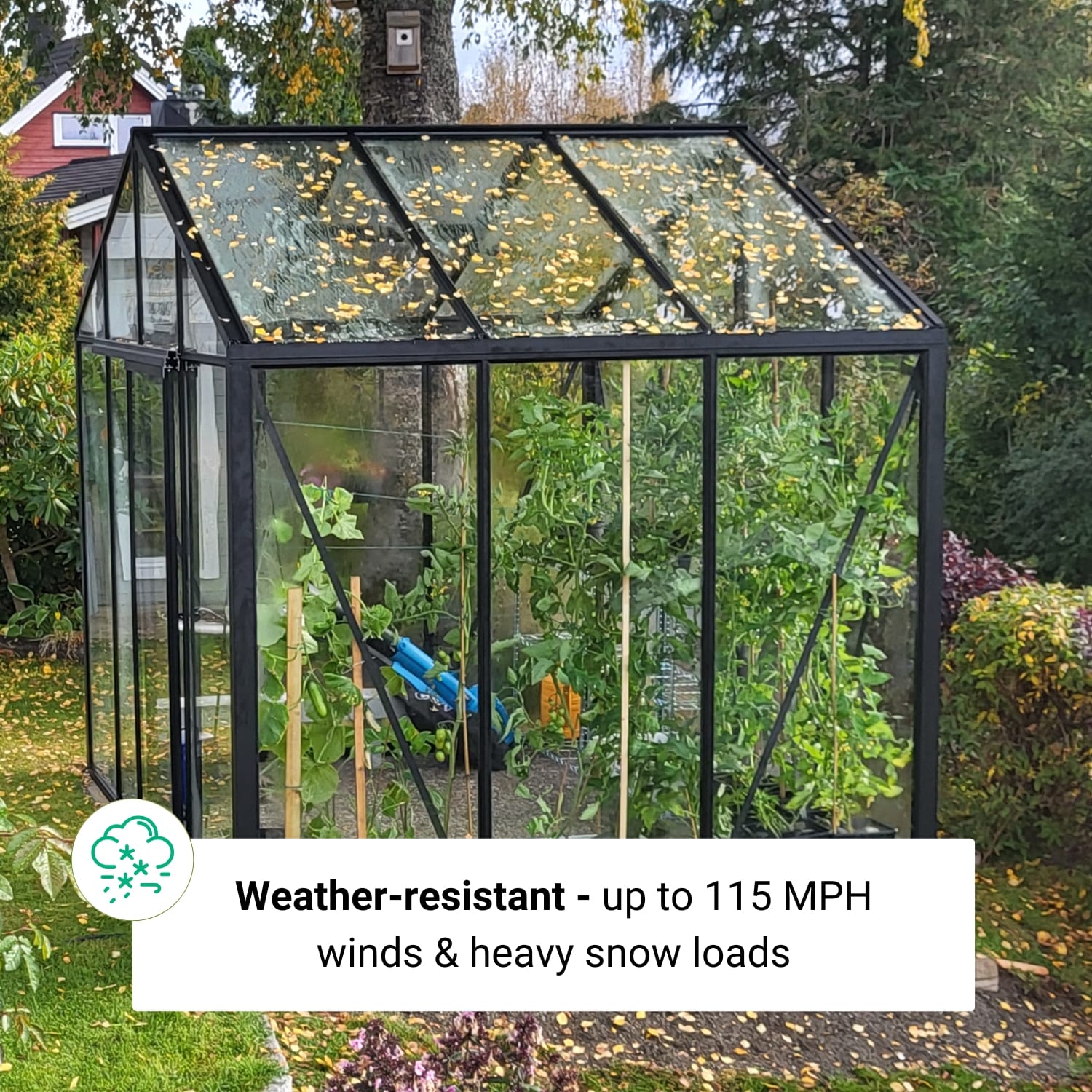 Scandiglas Greenhouse