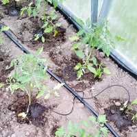Drip Irrigation System