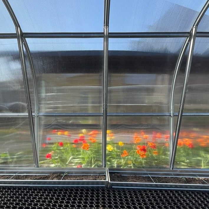 World's Most Popular Polycarbonate Greenhouse
